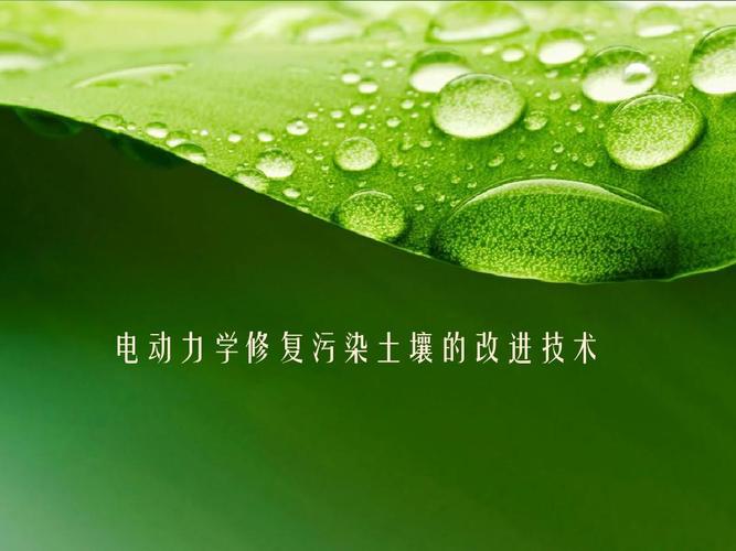 电动力学修复污染土壤的改进技术 从单一过程到协同增效