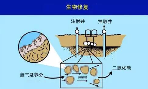 大地伤口的愈合之路 土壤修复工程的科学与实践