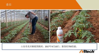 奥特奇带您解码土壤健康奥秘 土壤修复的全方位指南